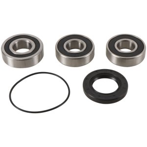 Honda VT750C Wheel Bearing Kit - Rear - Pivot Works - Pivot Works - `98-`03